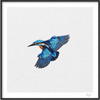 Kingfisher Two