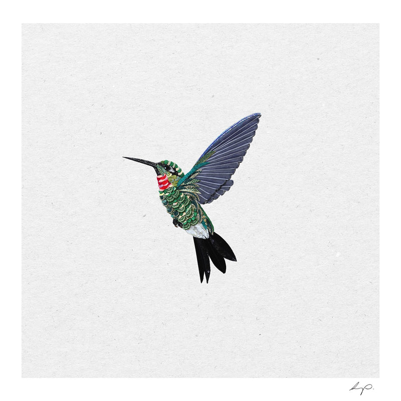 Hummingbird Three