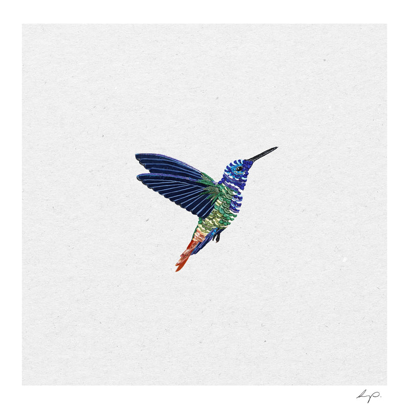 Hummingbird One